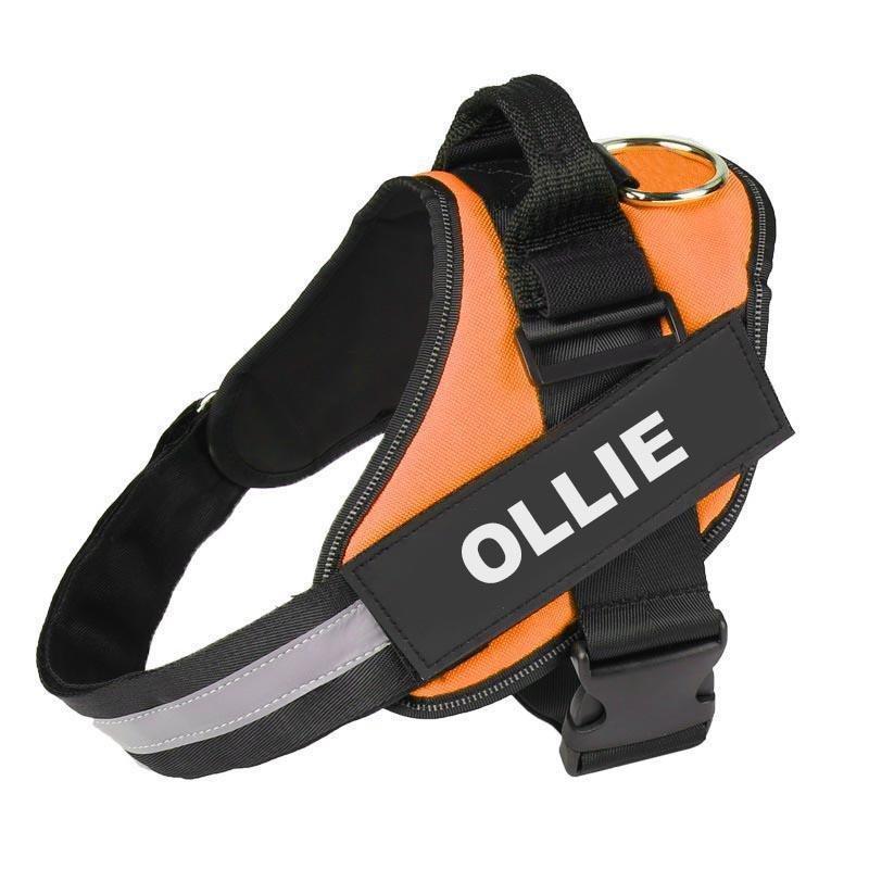 VALEN - CUSTOM FIT NO-PULL DOG HARNESS