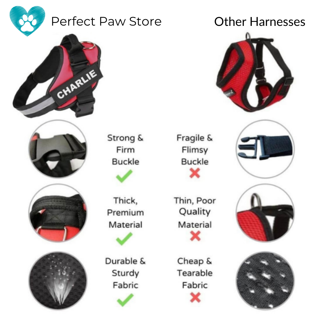 VALEN - CUSTOM FIT NO-PULL DOG HARNESS