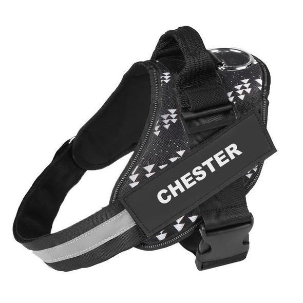 VALEN - CUSTOM FIT NO-PULL DOG HARNESS