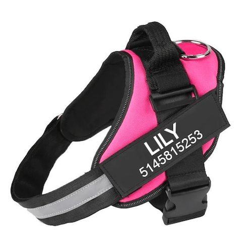 VALEN - CUSTOM FIT NO-PULL DOG HARNESS