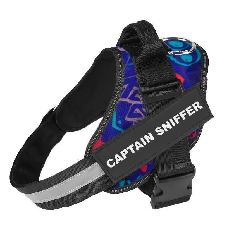 VALEN   - CUSTOM FIT NO-PULL DOG HARNESS