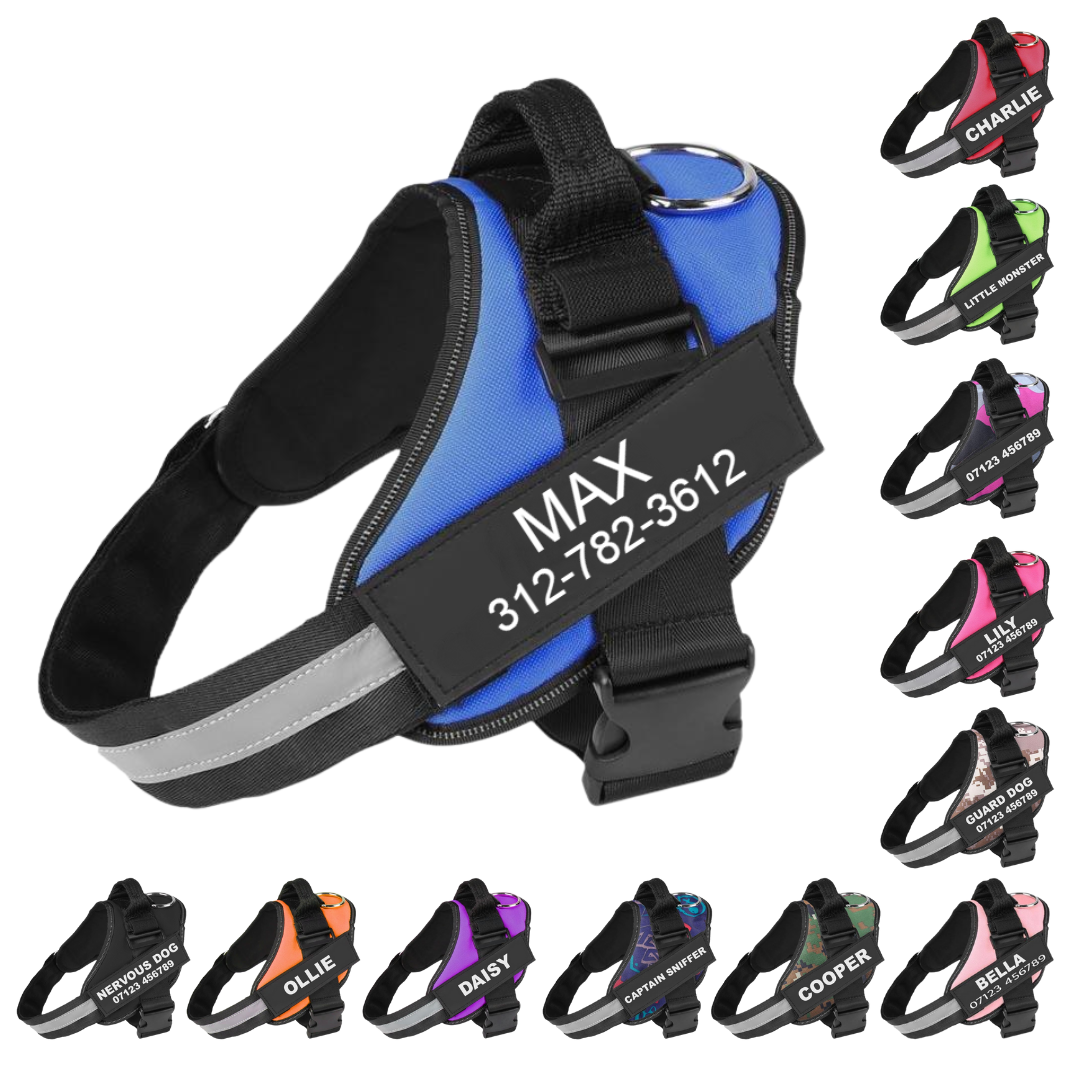 VALEN   - CUSTOM FIT NO-PULL DOG HARNESS