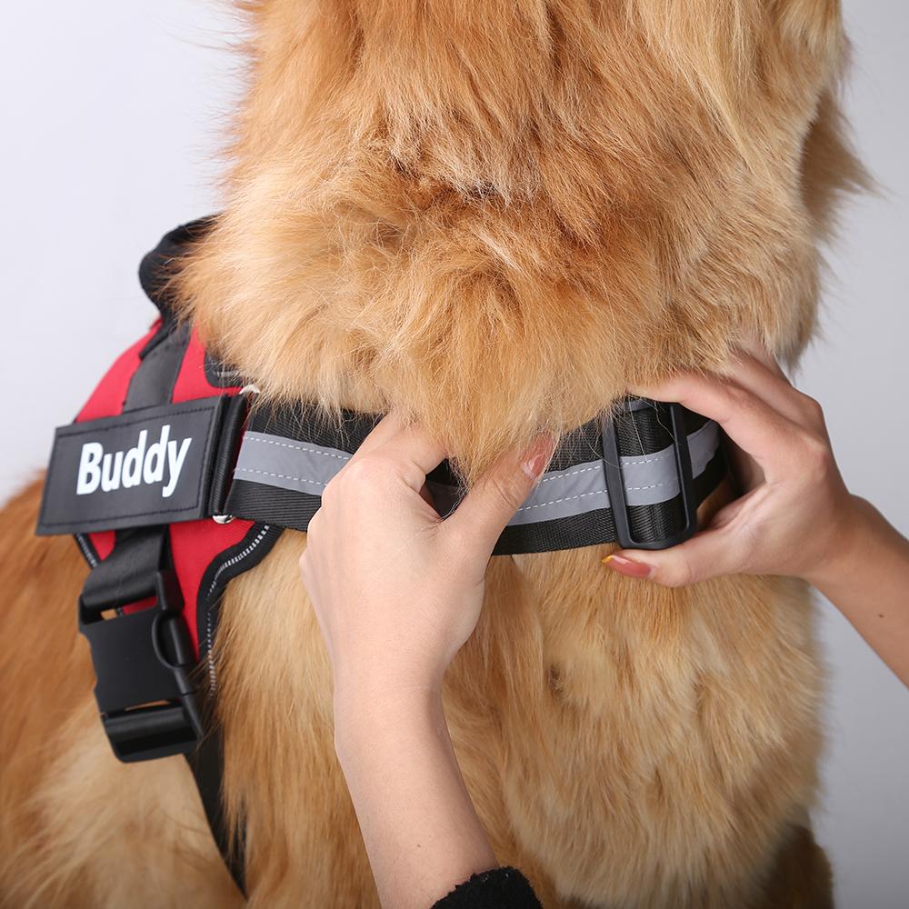 VALEN   - CUSTOM FIT NO-PULL DOG HARNESS